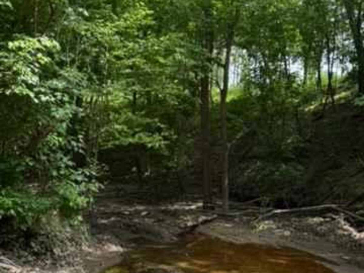 Mimi's Trail photo 2