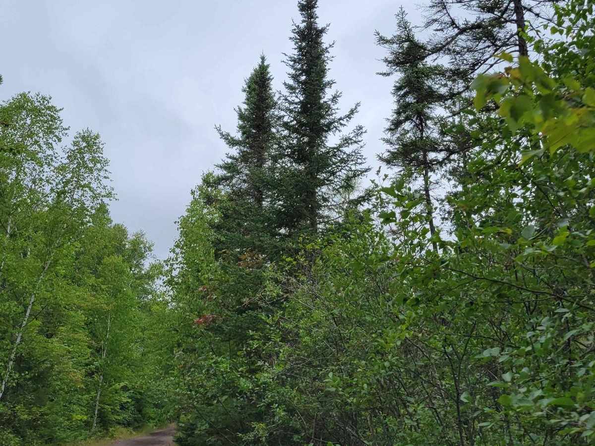 Keweenaw State Trail Segment 1 photo 3