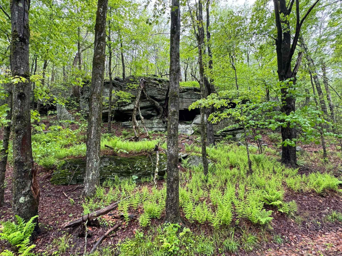 Moore Hill Road photo 4
