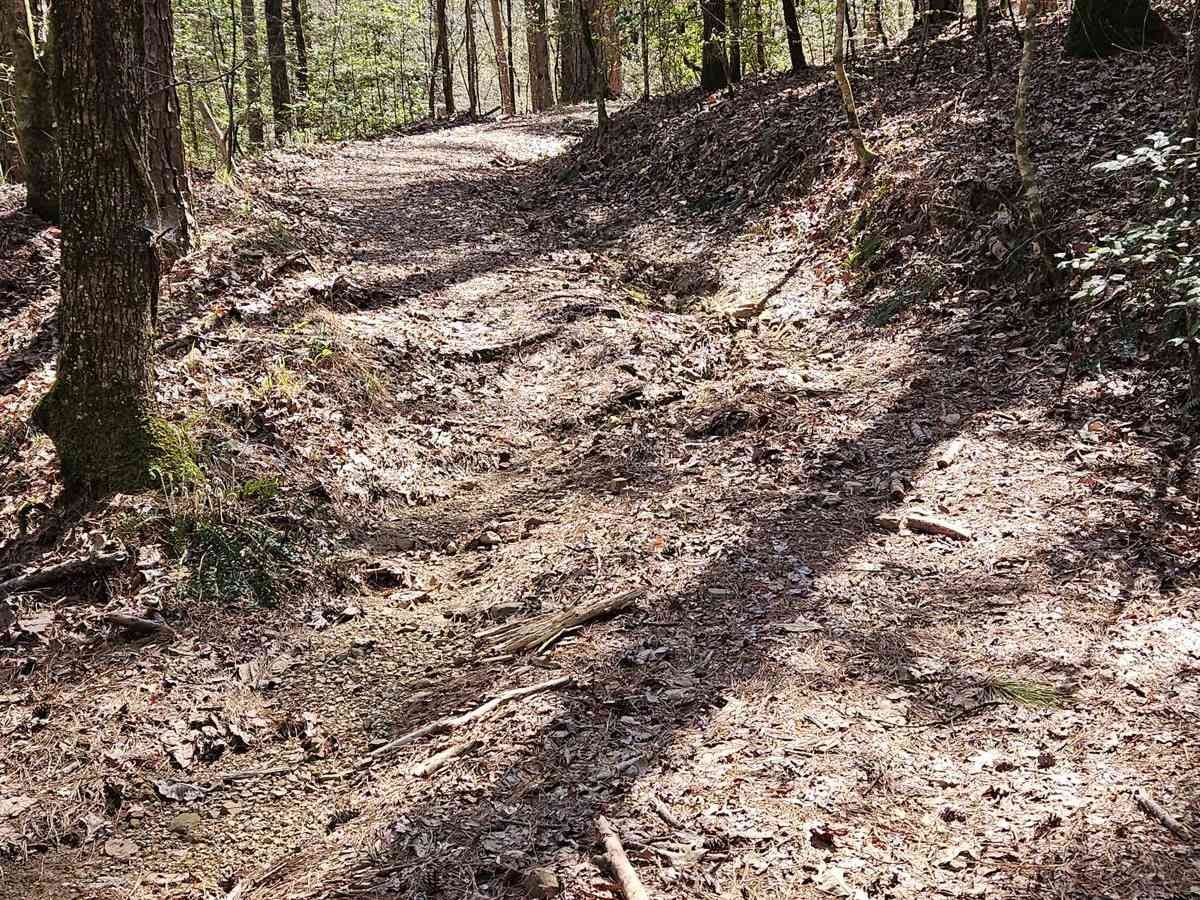 Kaia Trail photo 5