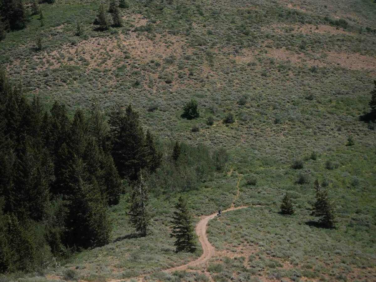 Middle South Sulphur Canyon #5243  trail photo