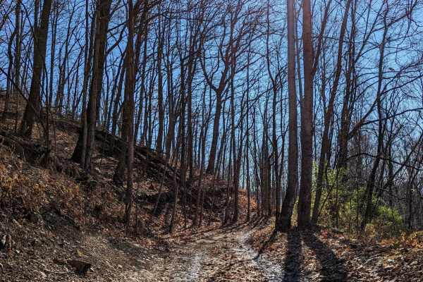 Trail 43