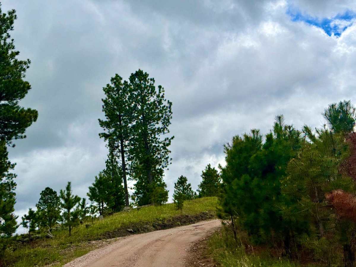 Twin Springs Cutoff (Branch 1A) photo 4