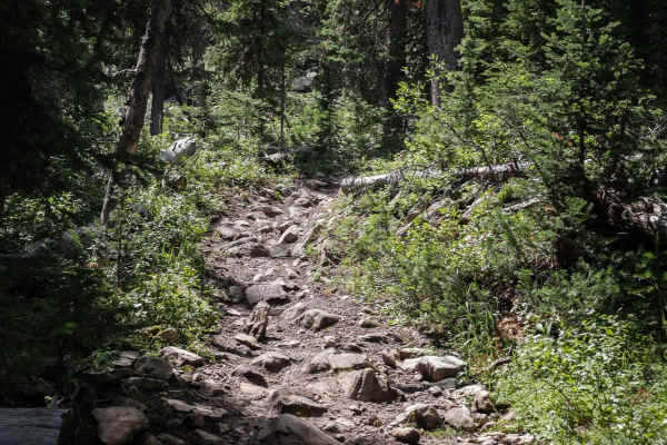 Kirkwood