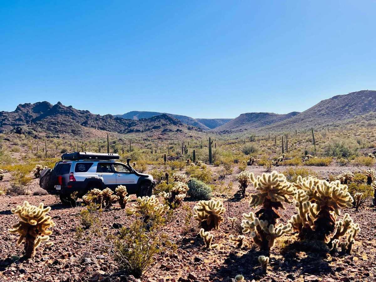 Ocotillo Side Route photo 6
