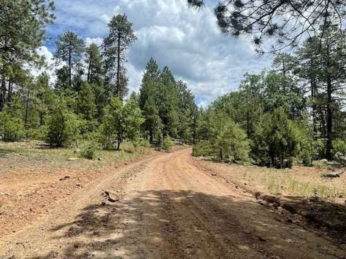 Milk Ranch Point photo 6