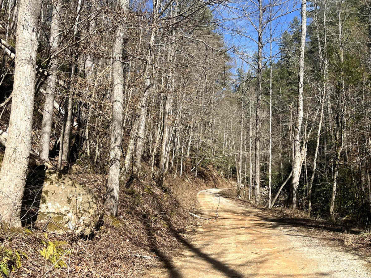 Double Camp trail photo