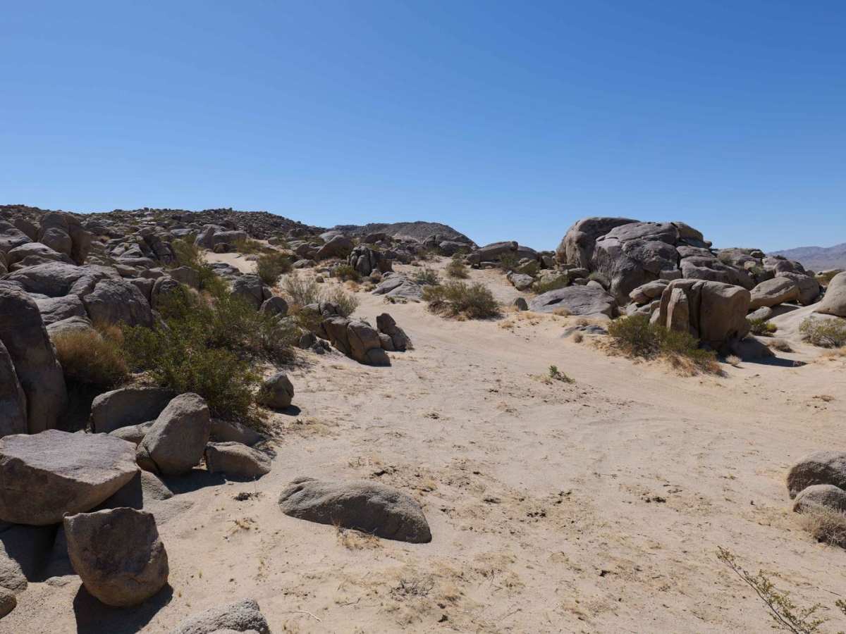 Sand Dune Expedition photo 4
