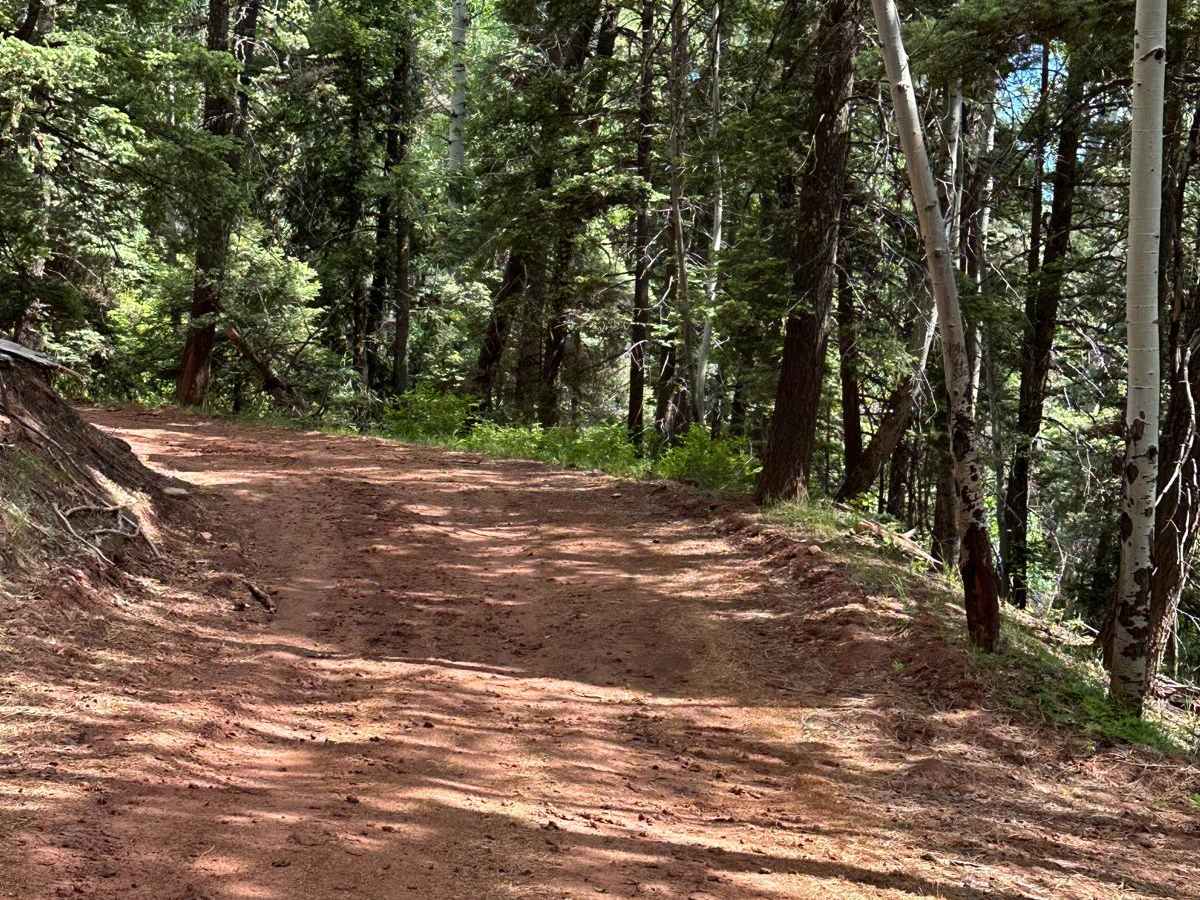 FR 93 Red Mud Rumble photo 4