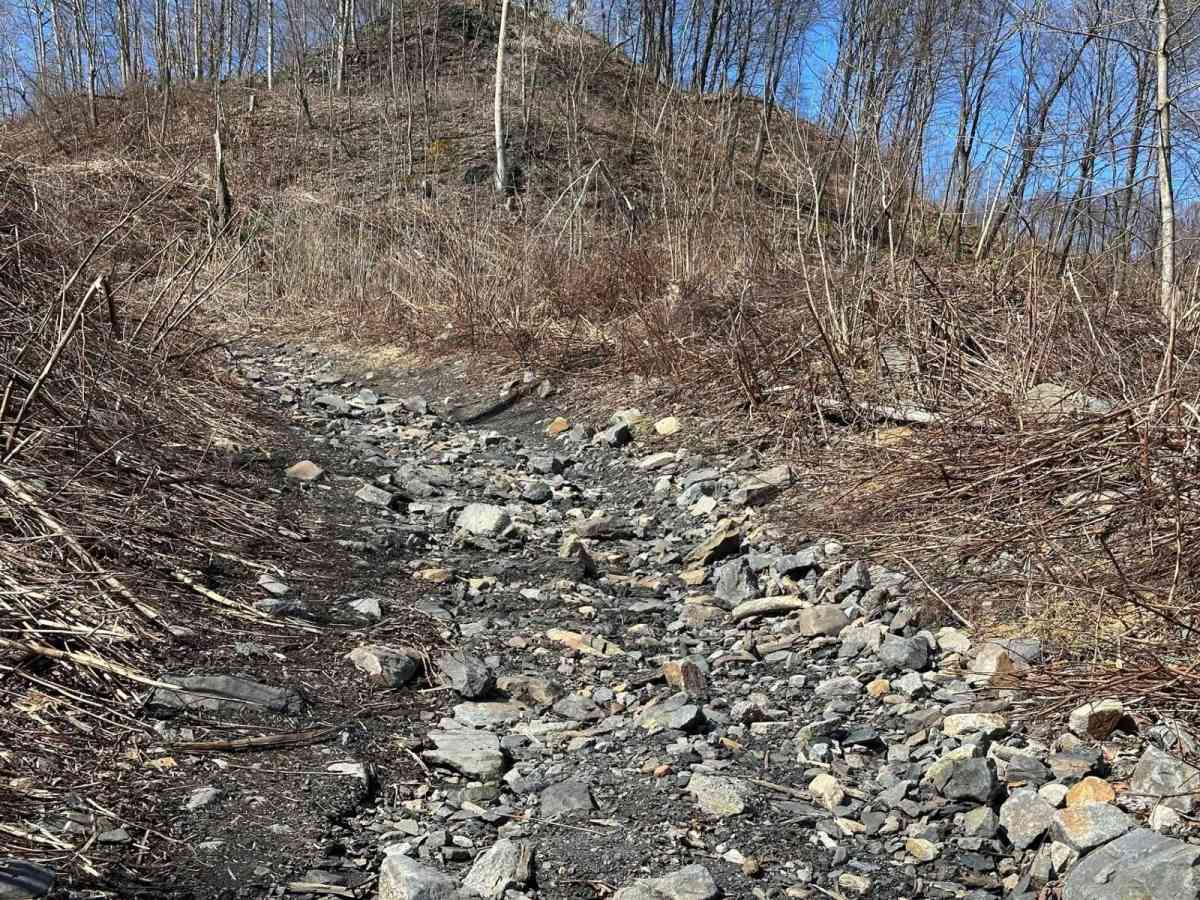 Ashland 39 photo 6