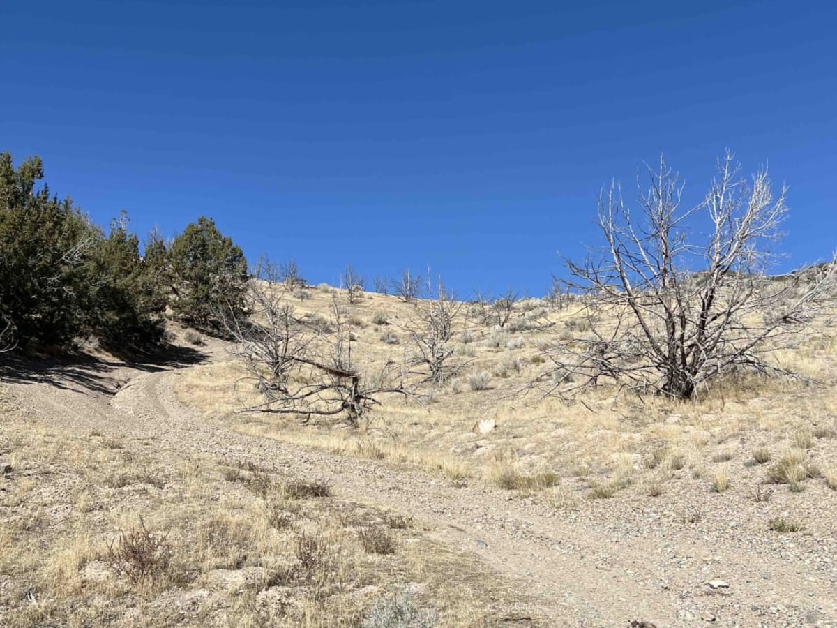 Quincy Spring Canyon photo 5