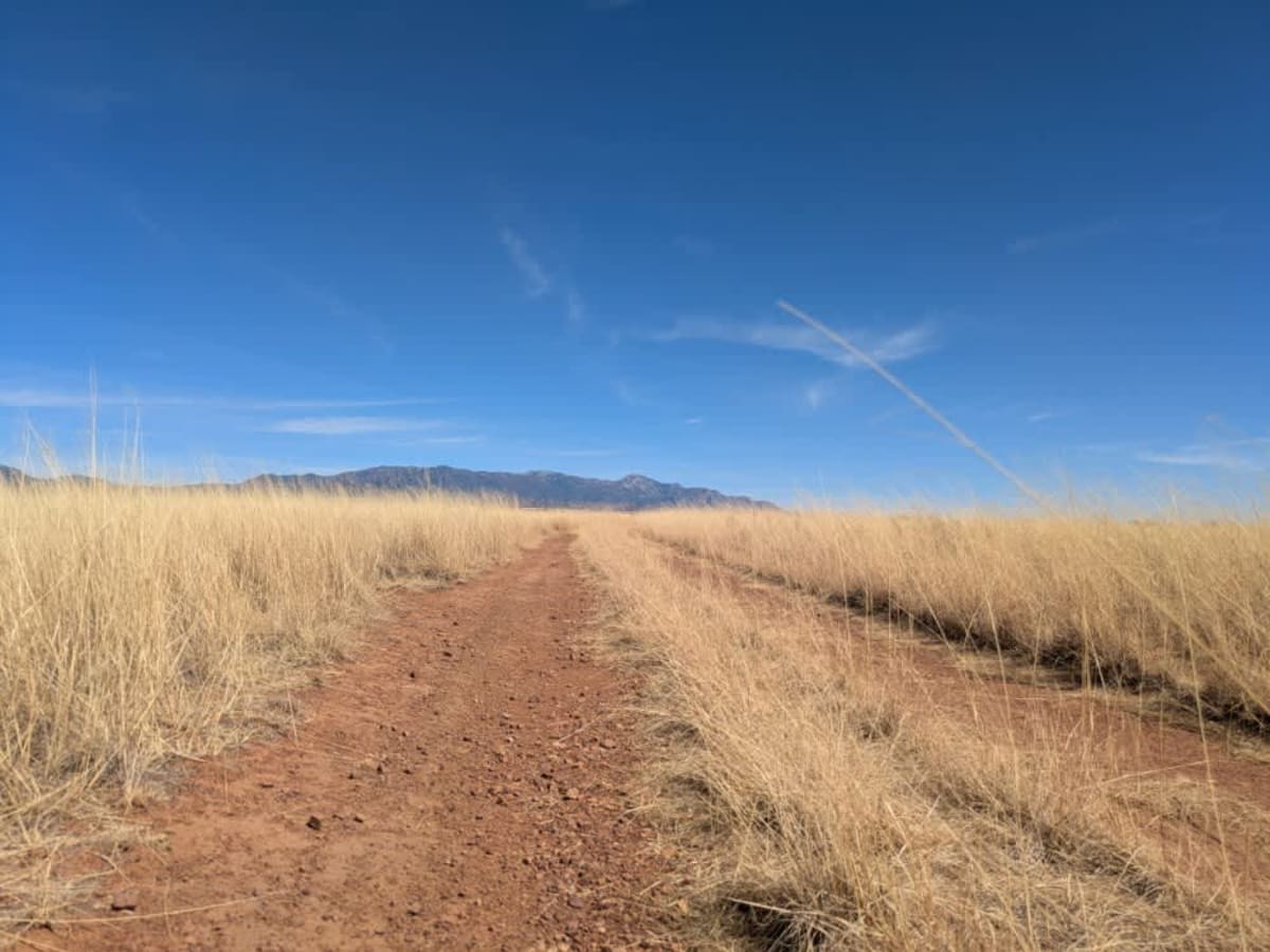 Parker Montezuma photo 6