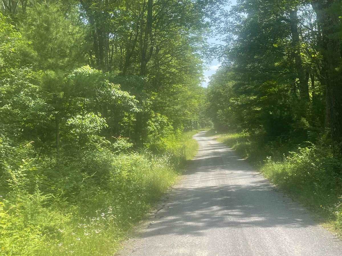 Engle Road photo 4