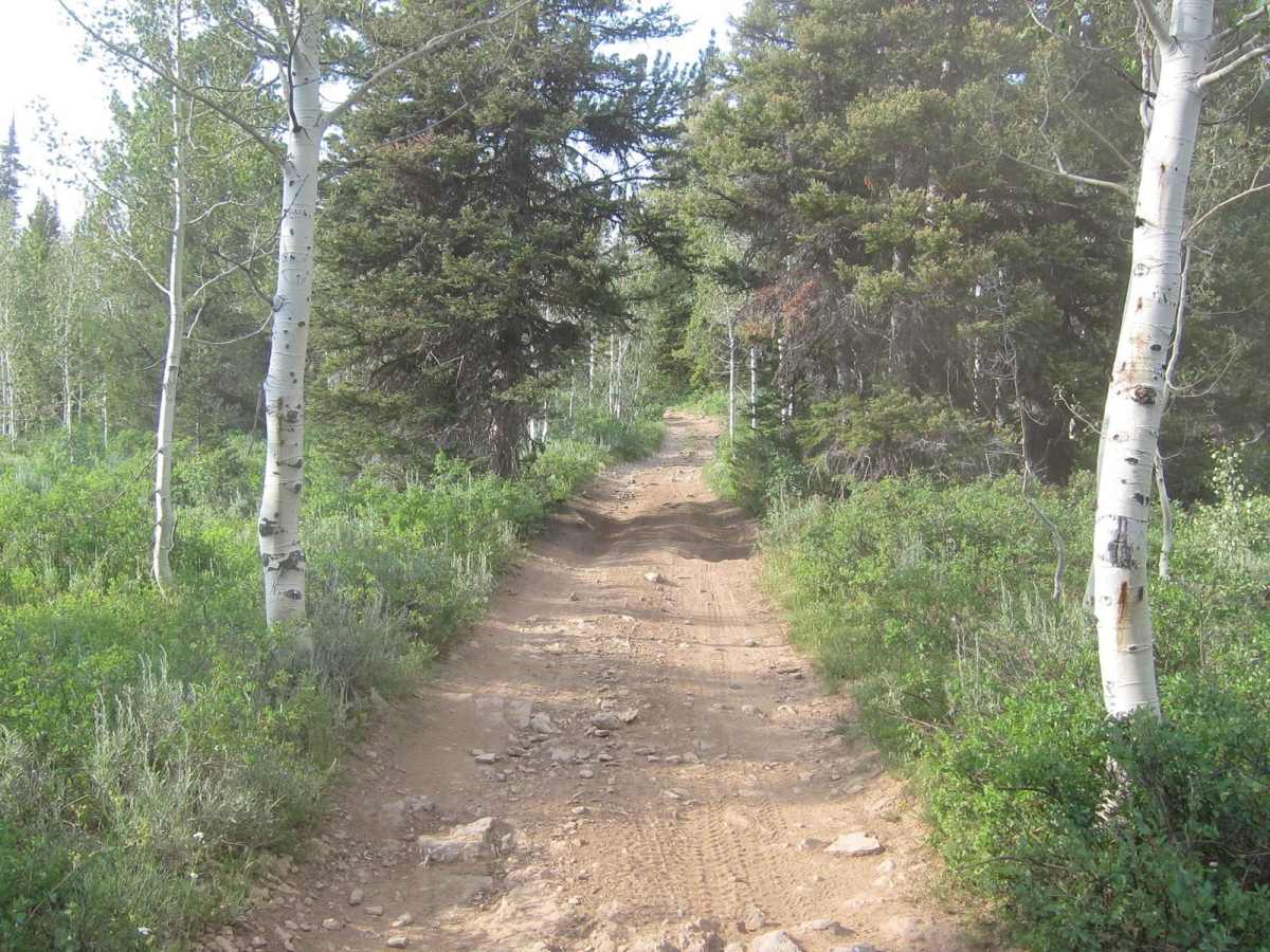 Big Creek Lake photo 4