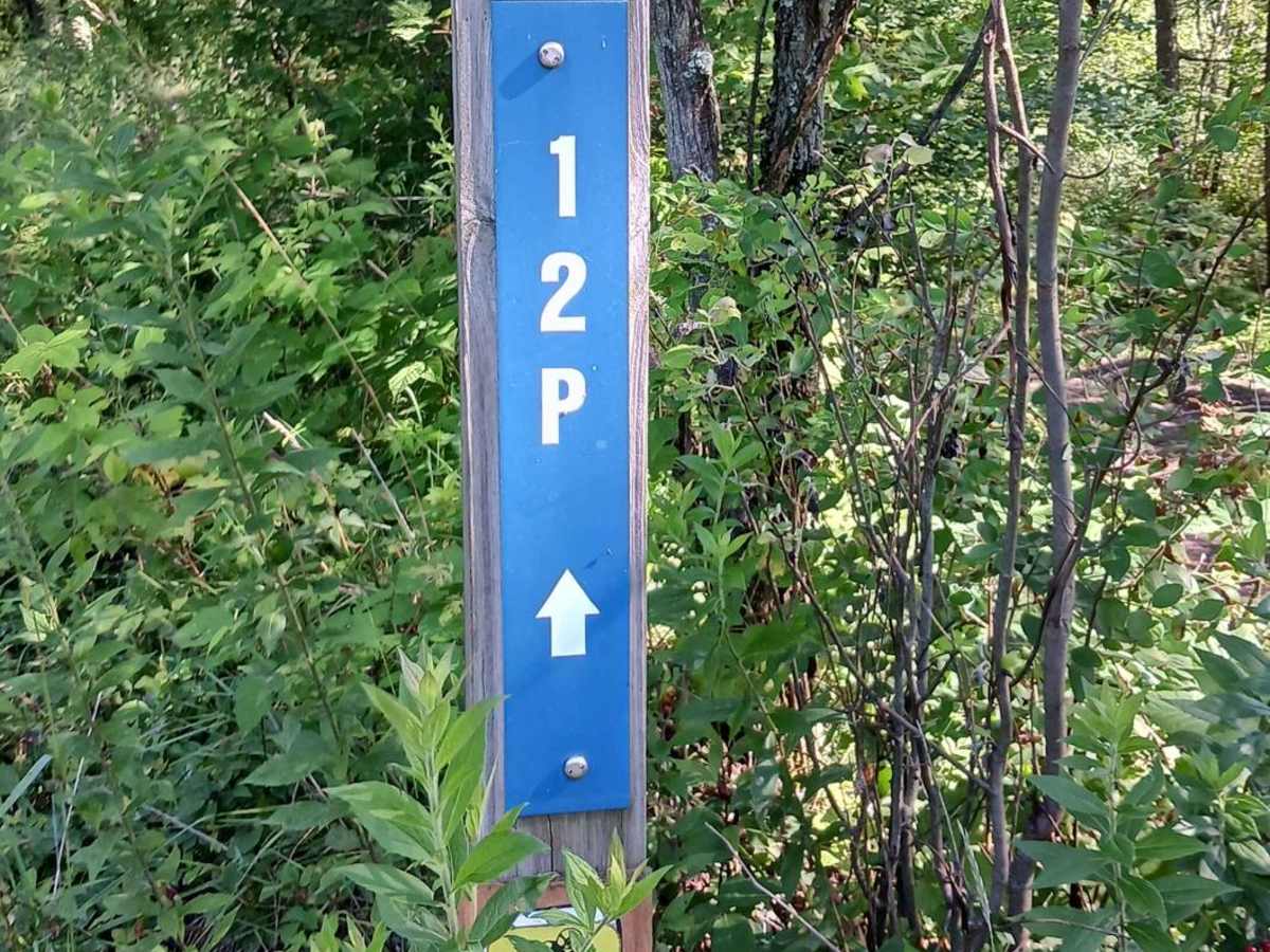 Trail 12P - Rock Run Recreation Area trail photo