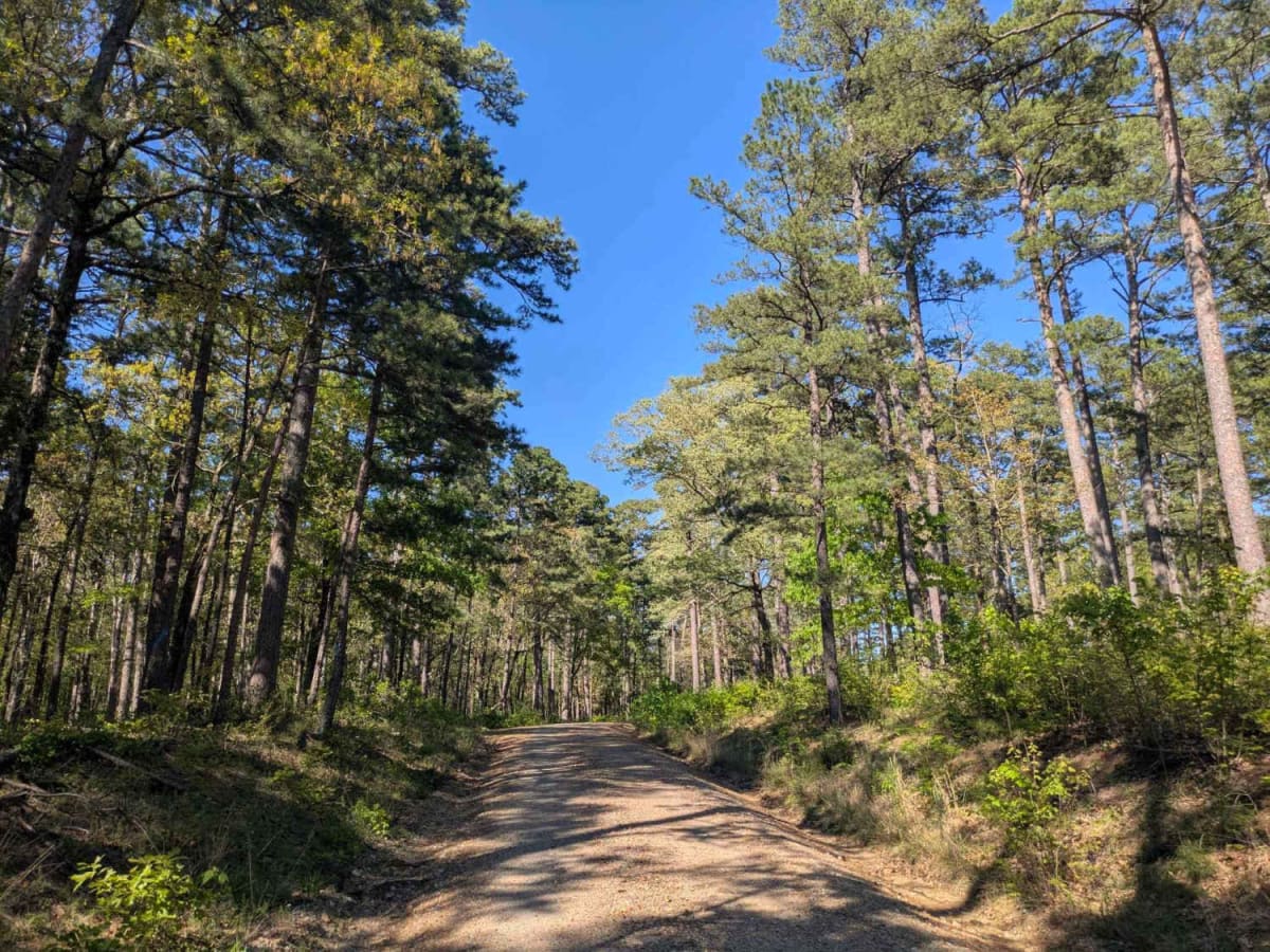 Pitfork Road photo 3