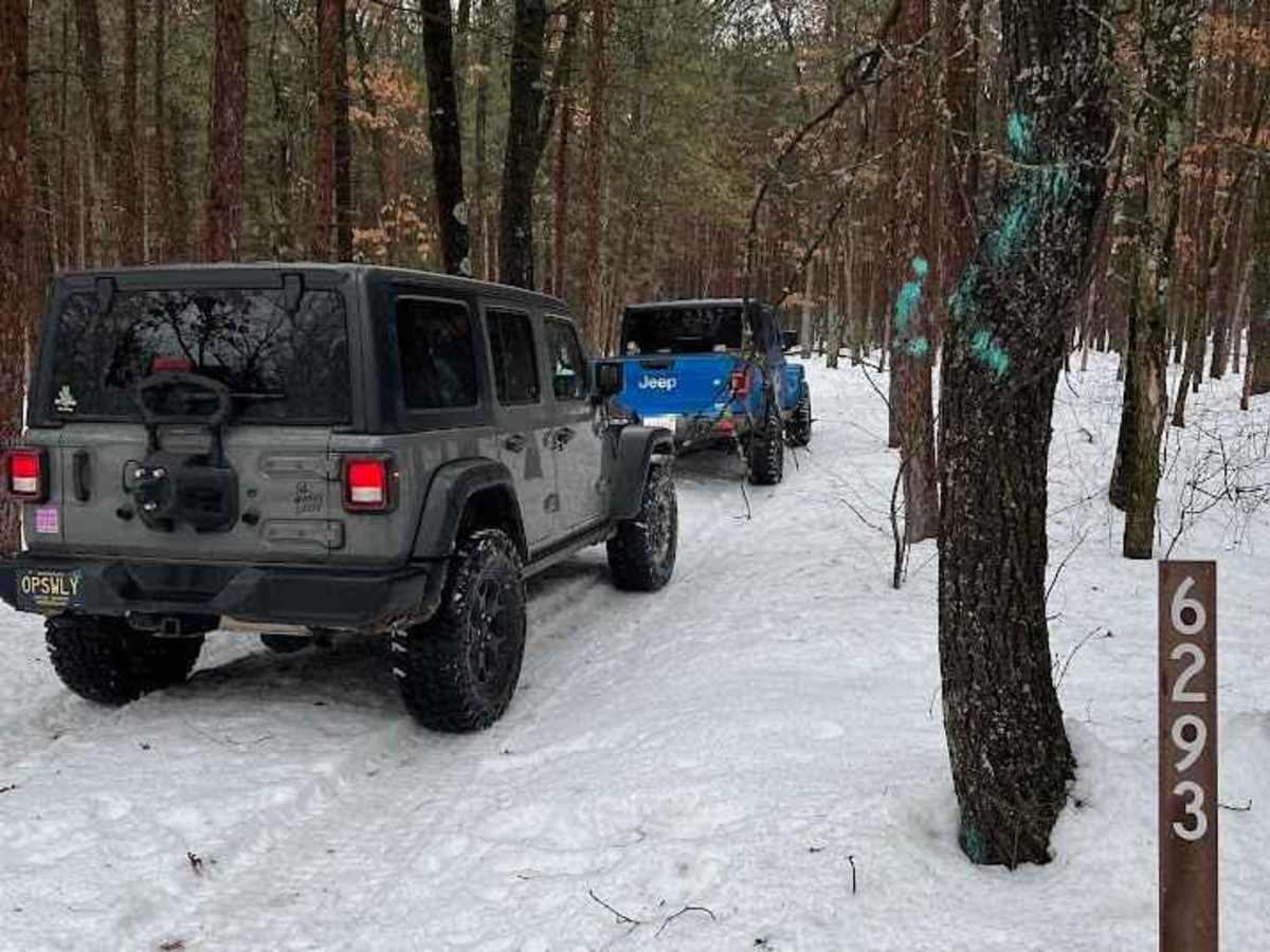 NFS 6293/6294 trail photo