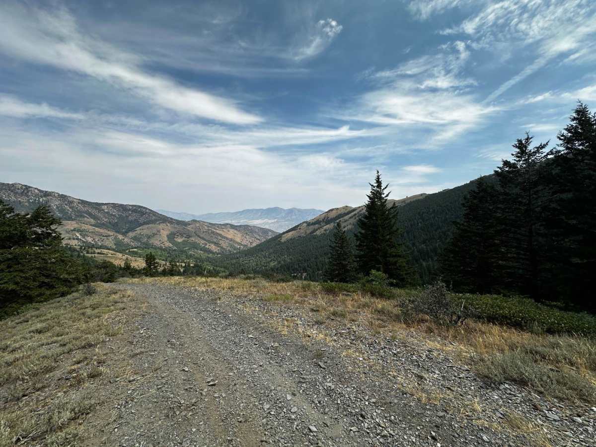 Goodenough - Bell Marsh Creek photo 4