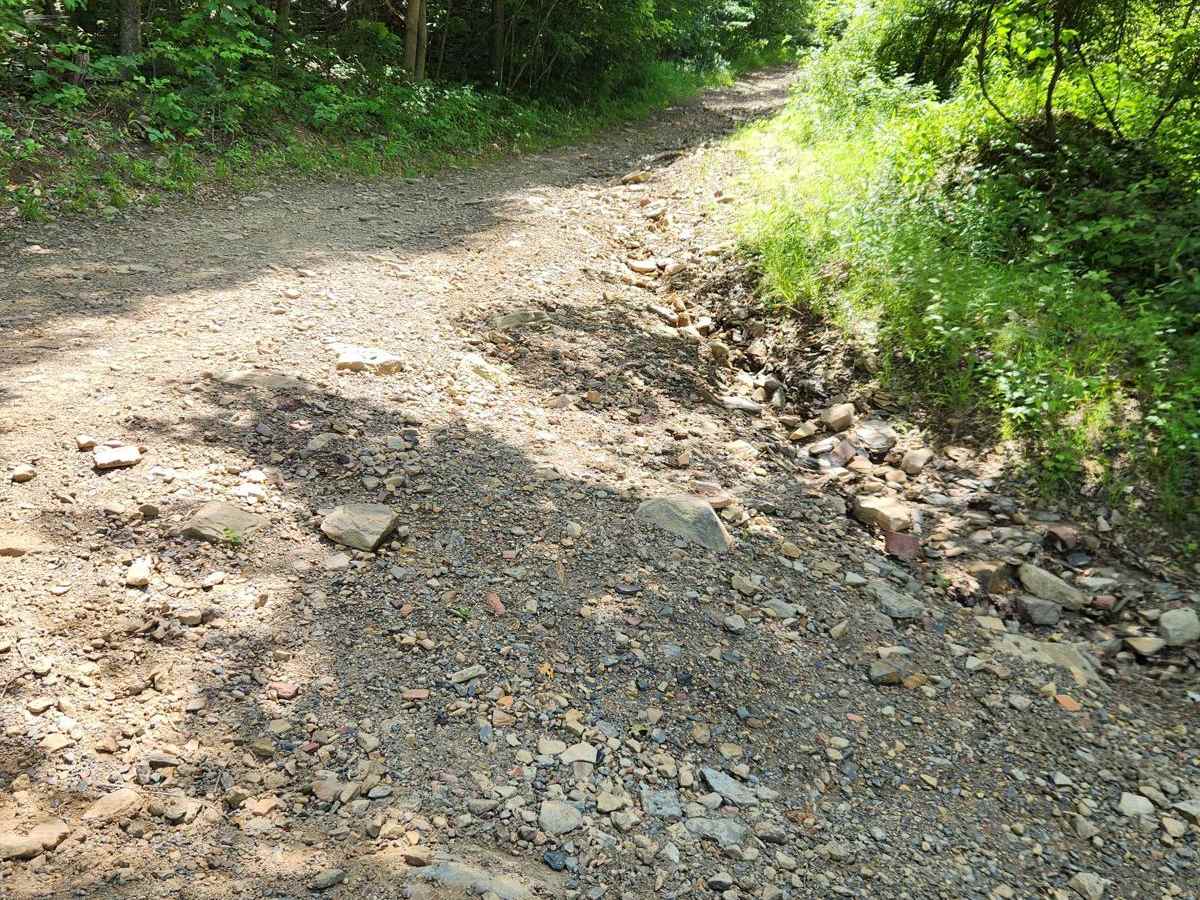 Trail 6 - Rock Run Recreation Area photo 3