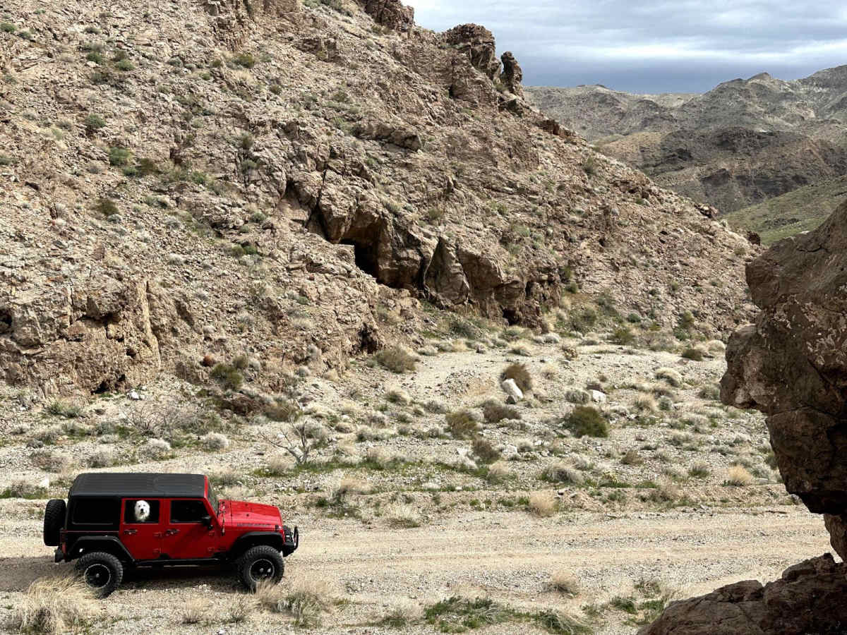 Cohenour Loop photo 6