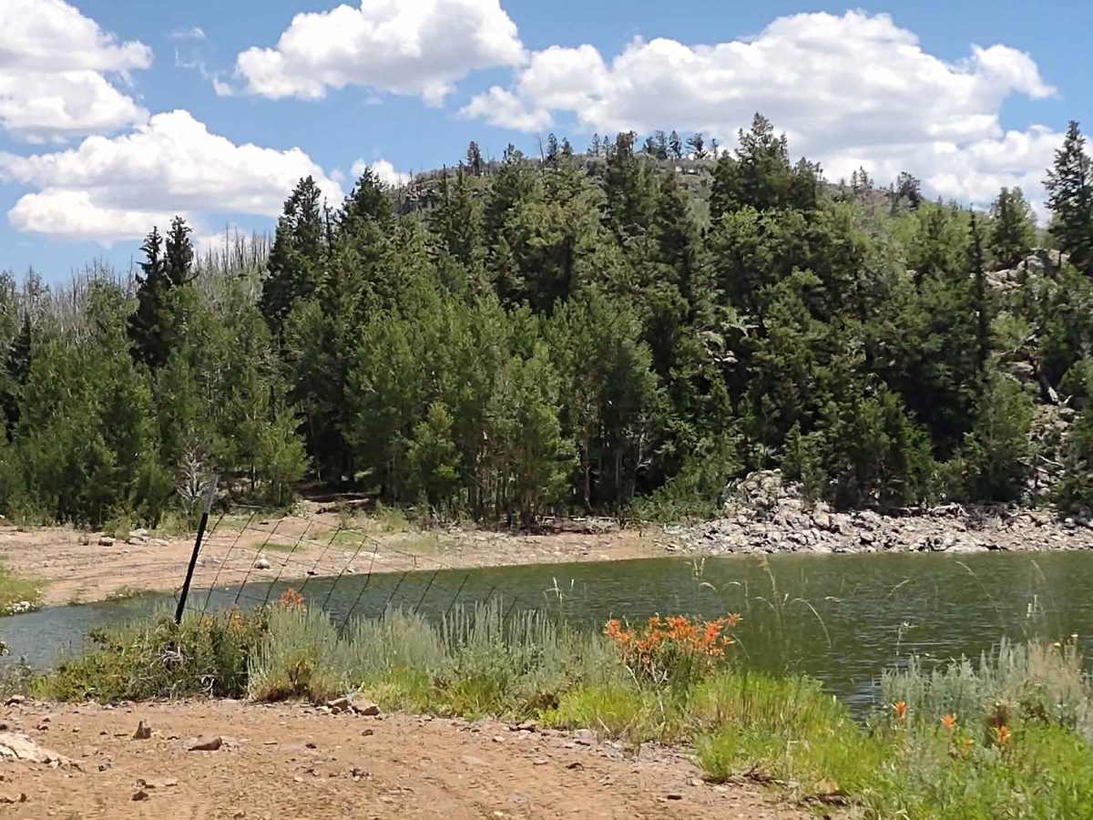 Upper Box Creek Reservoir Dam trail photo