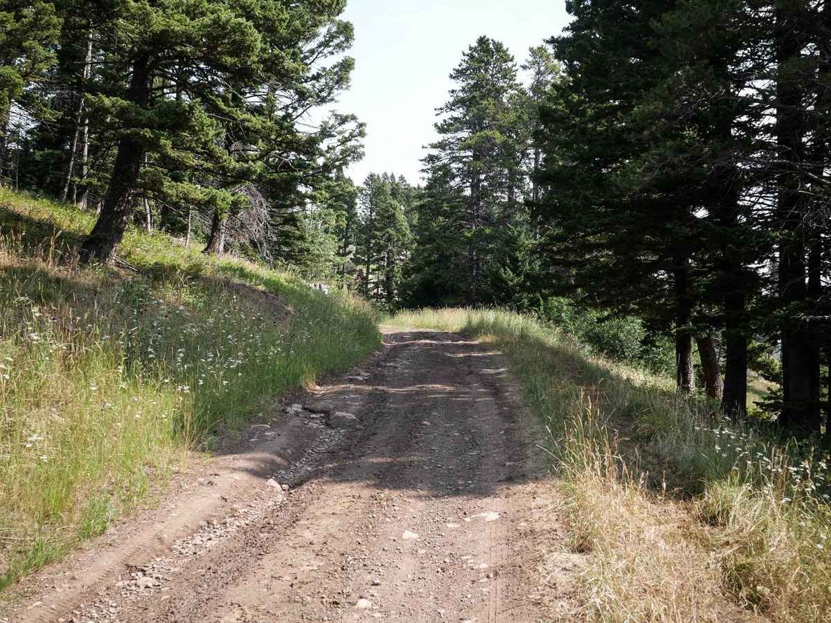 Carrol Creek photo 2
