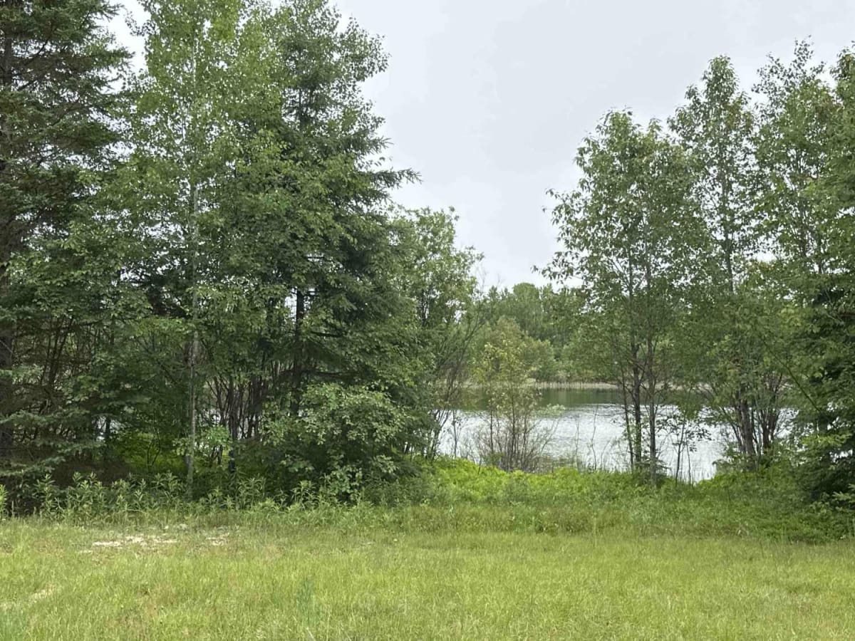 Trout Lake Spur photo 5