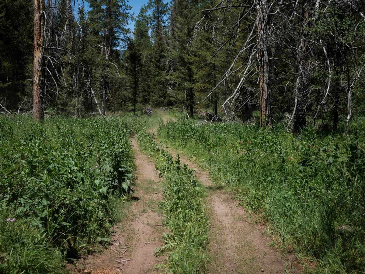 Cold Springs/Upper Dry Valley #5206 photo 5