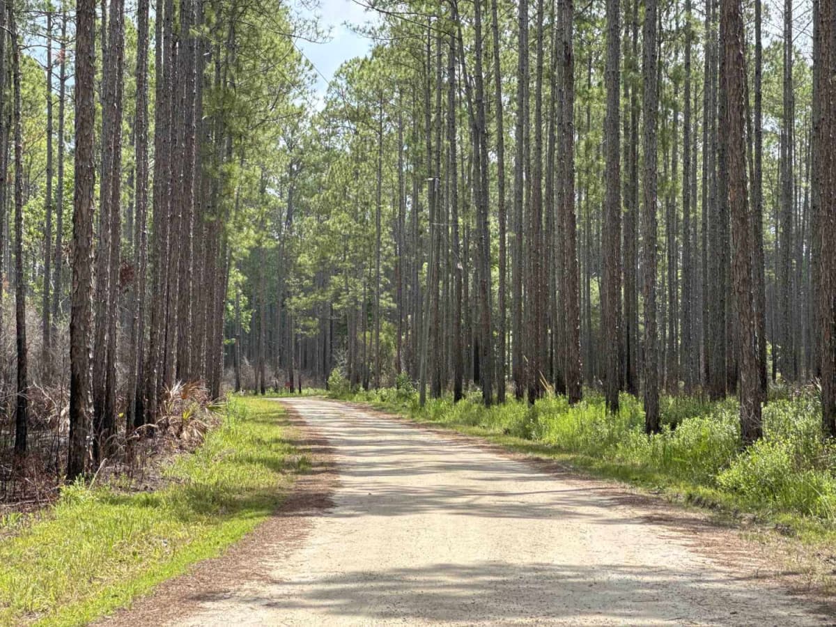 Jeff Sanders Road photo 6