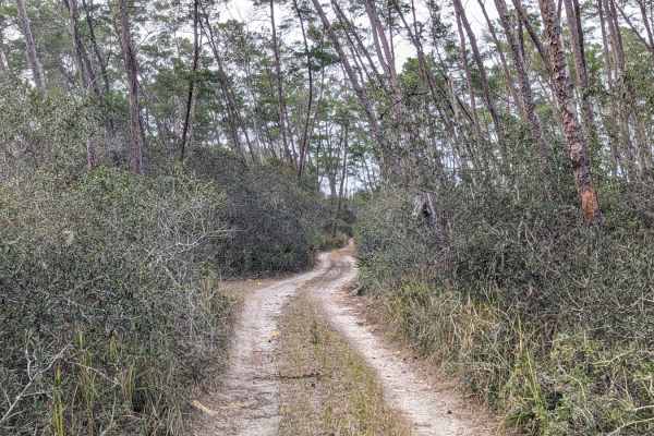 Island Lake Trail