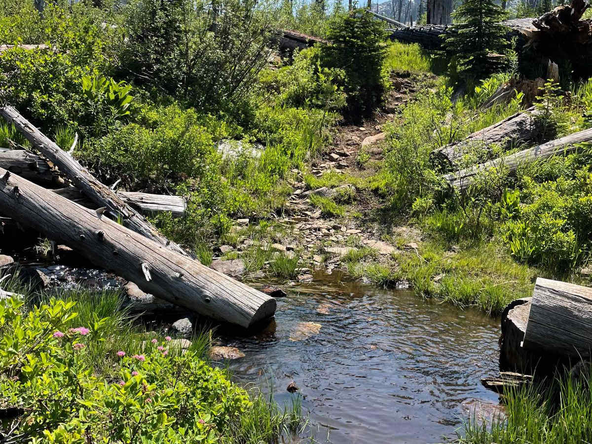 Hard Creek Basin photo 2