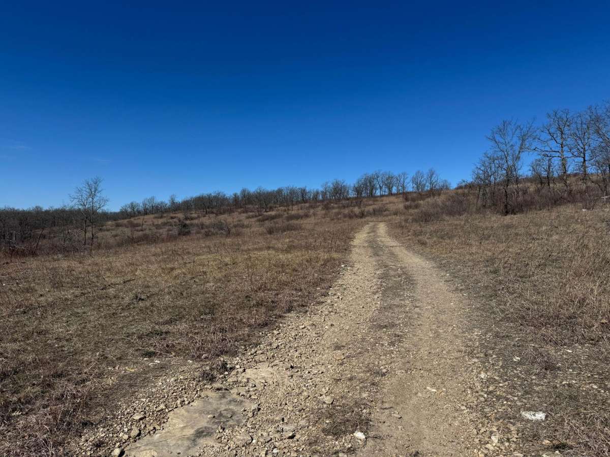 Brushy Ridge Spur B - FSR 606B photo 5