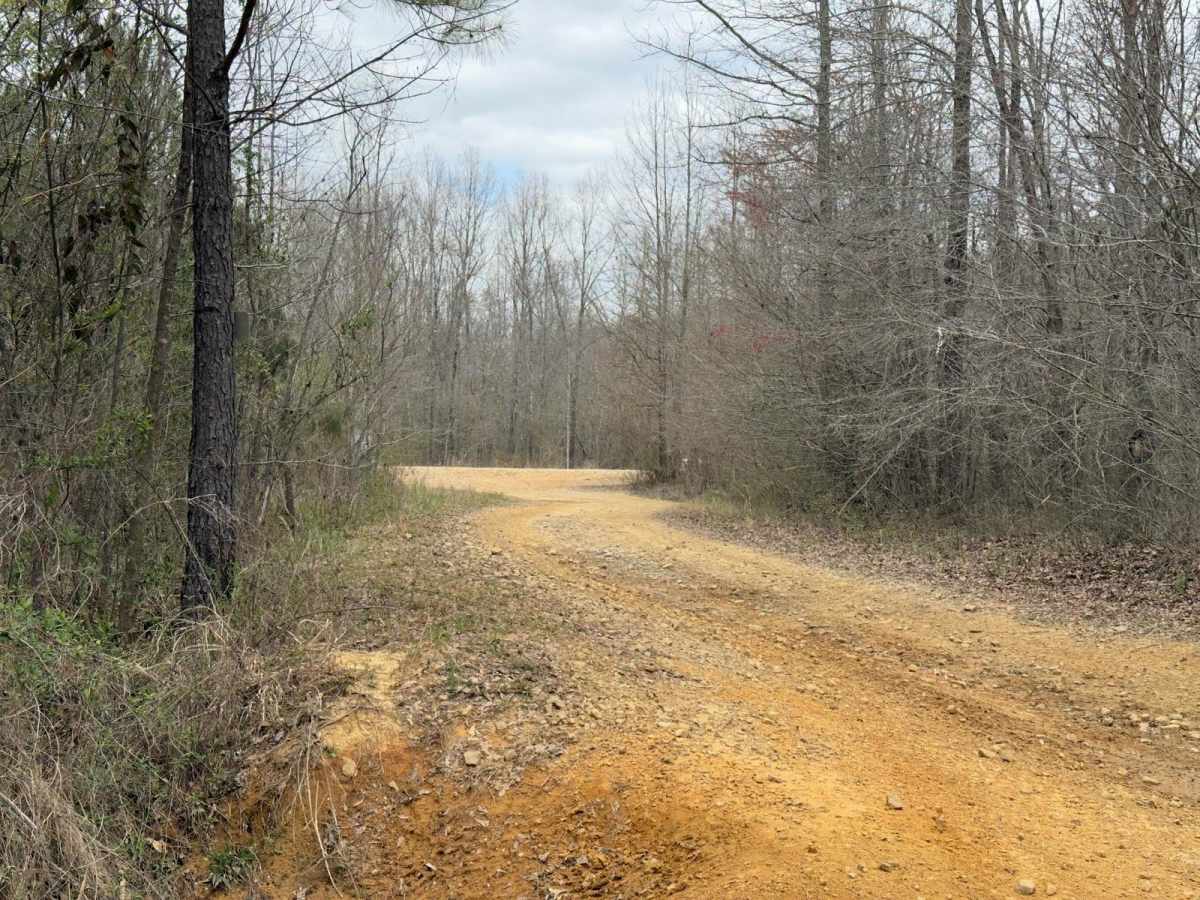 Creek Loop photo 2