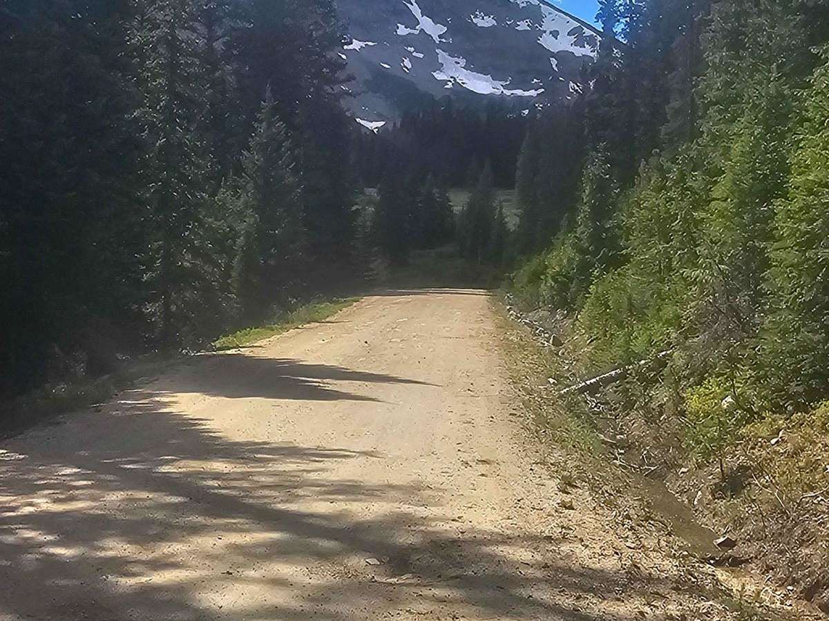 Michigan Creek Road photo 5