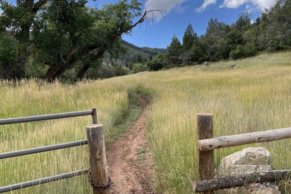 Mapleton-Sawmill Hollow (8013)
