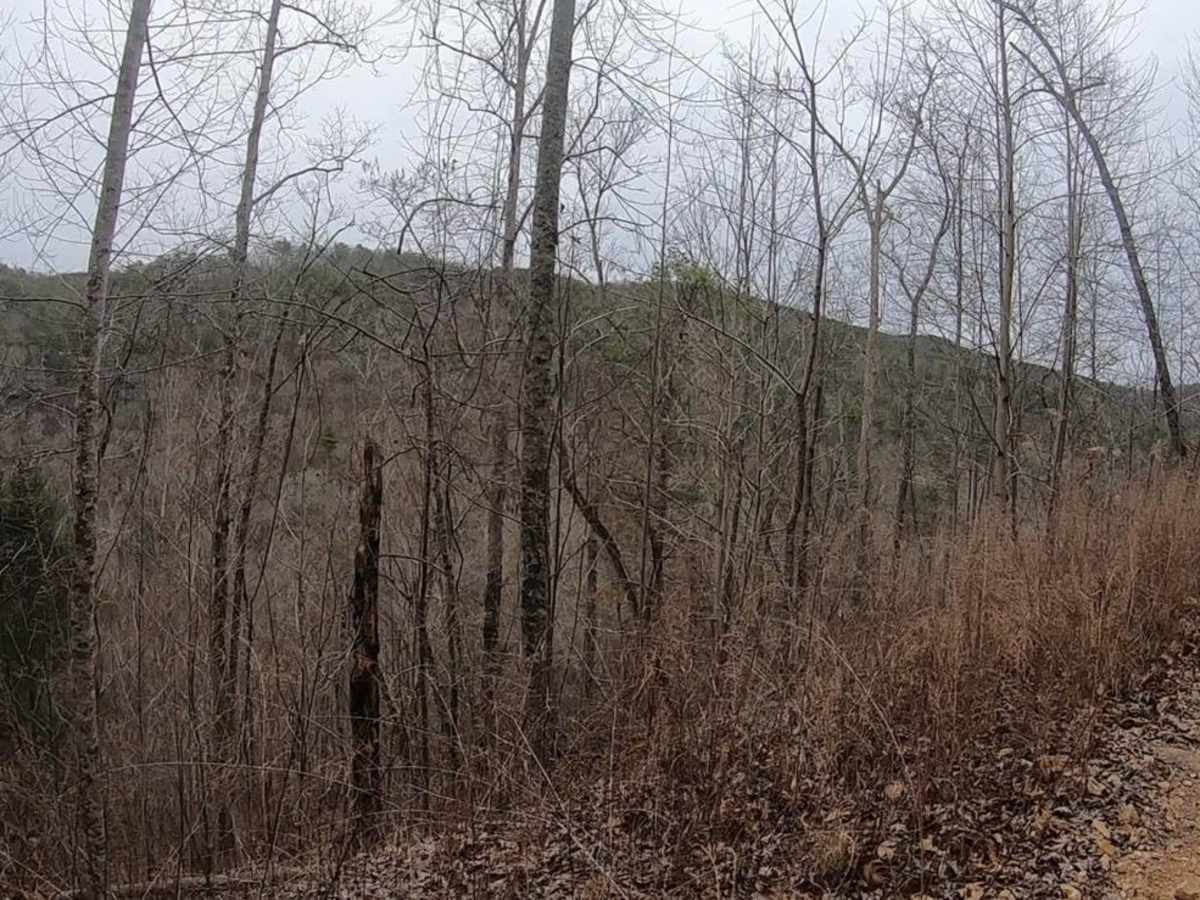 East Sylco Ridge trail photo