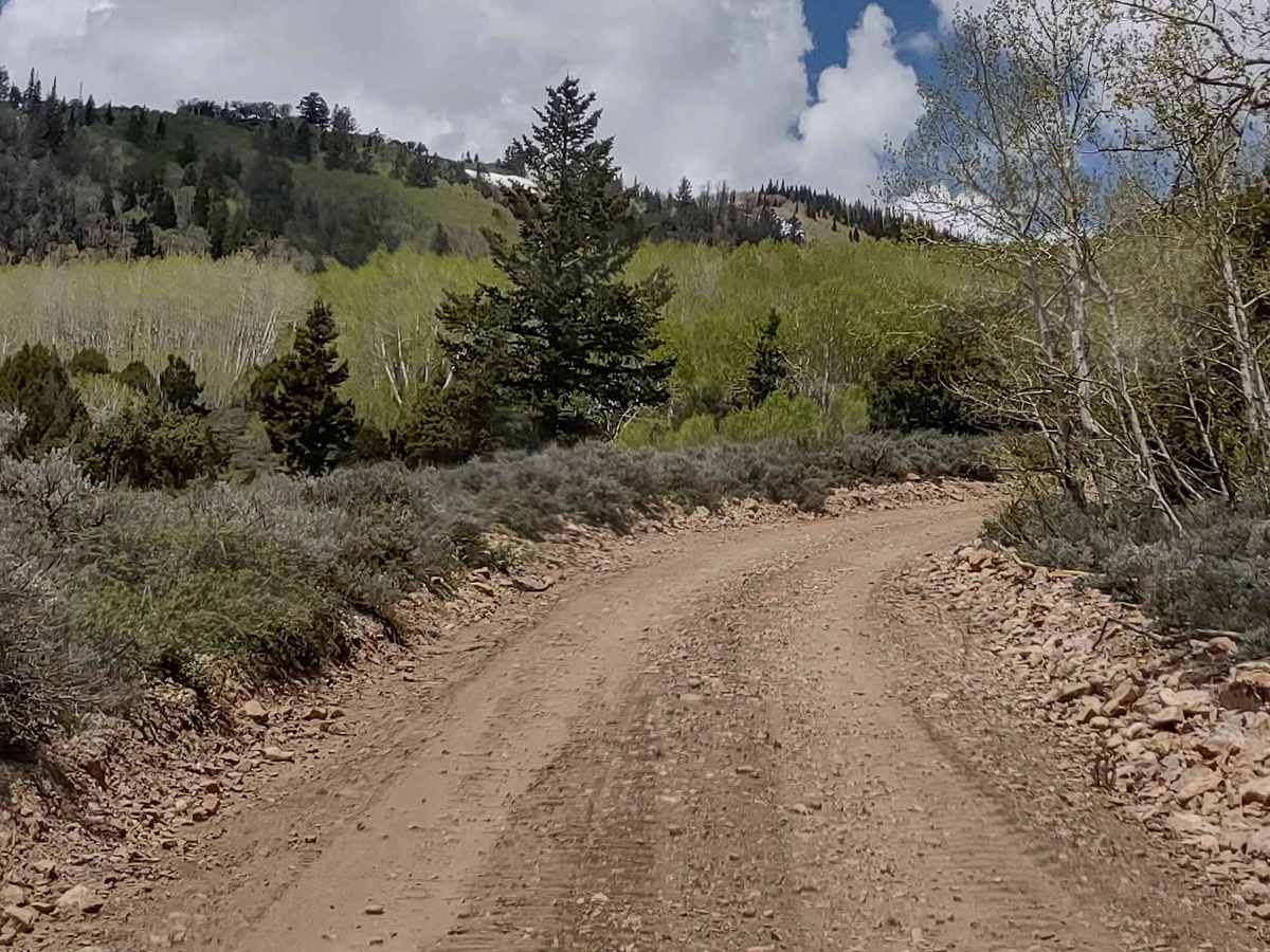 Aspen Grove Extravaganza photo 5