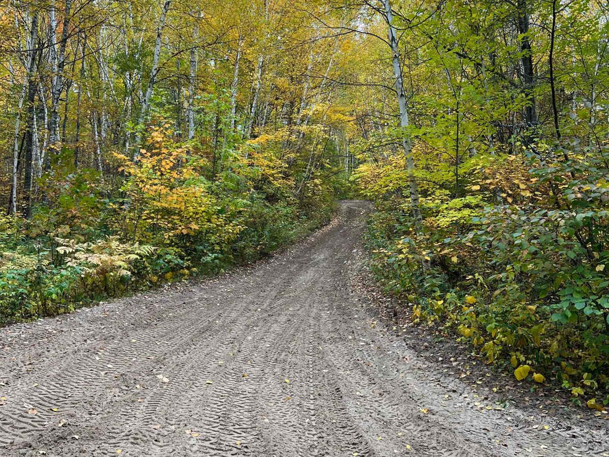 Paul Bunyan South River Rd trail photo