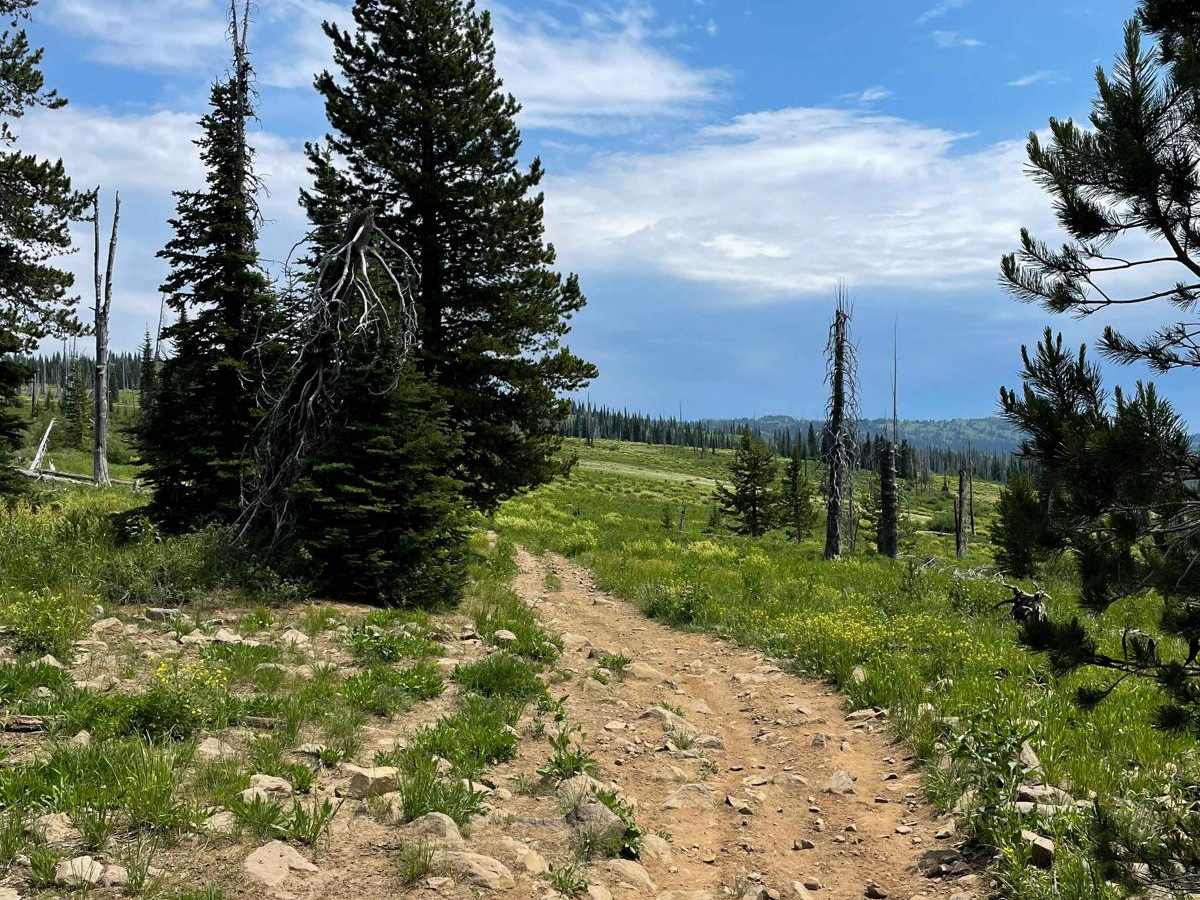 Elk Lake ATV photo 6
