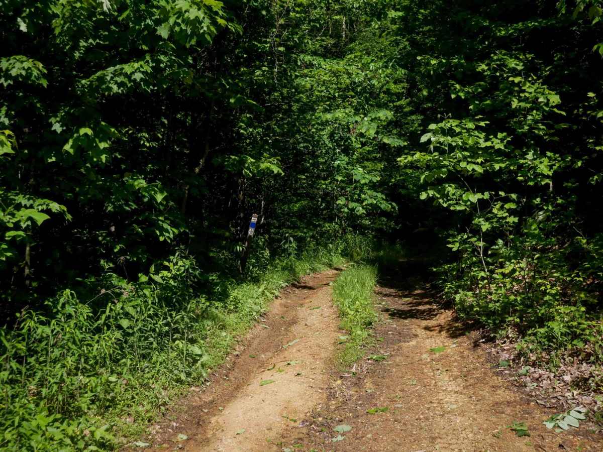 RV43 photo 2