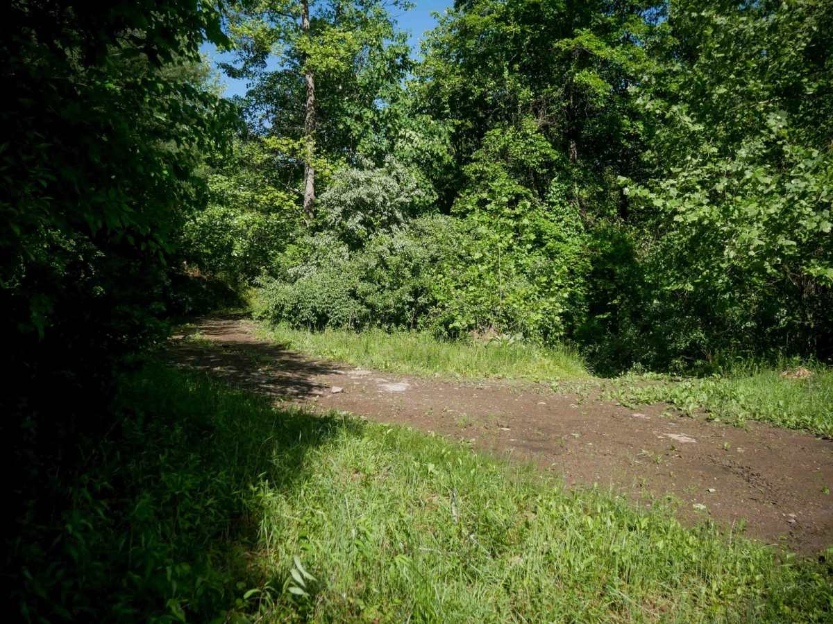 CC41 trail photo