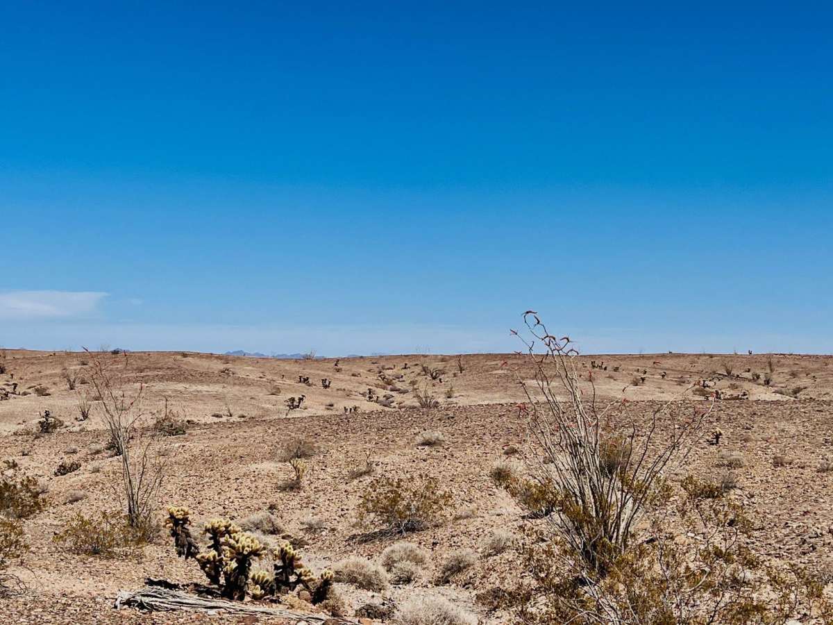 Northern Black Mountain Road photo 6
