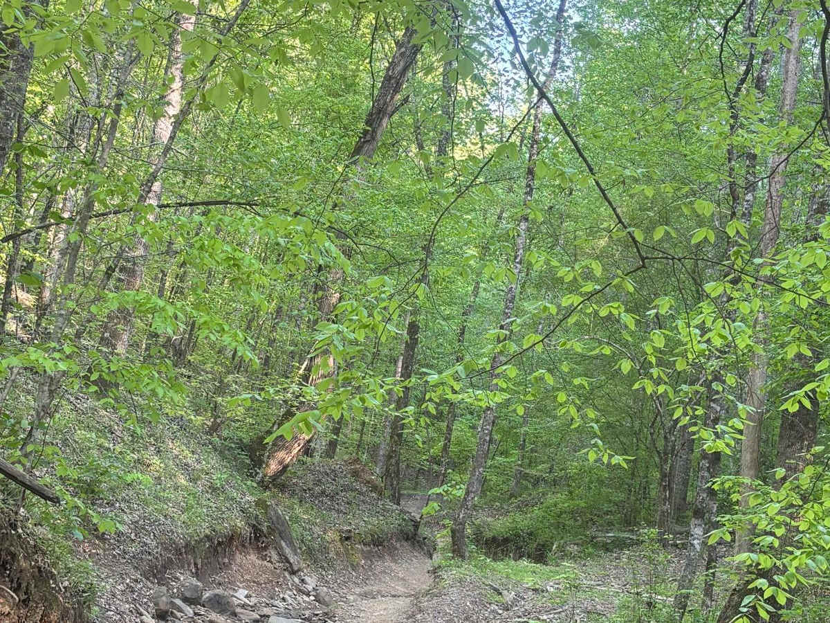 Rock Creek photo 3