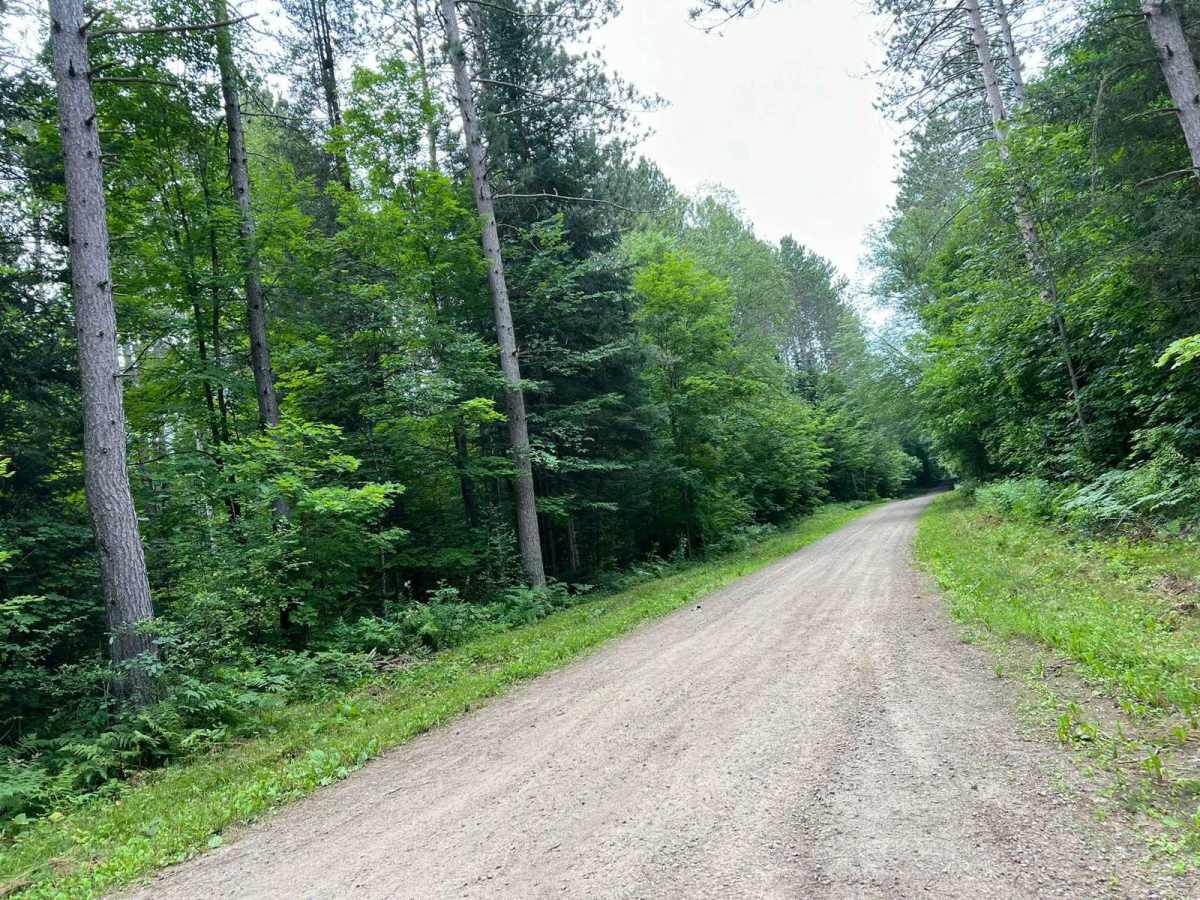 Trestle Road - FS 2696 photo 3