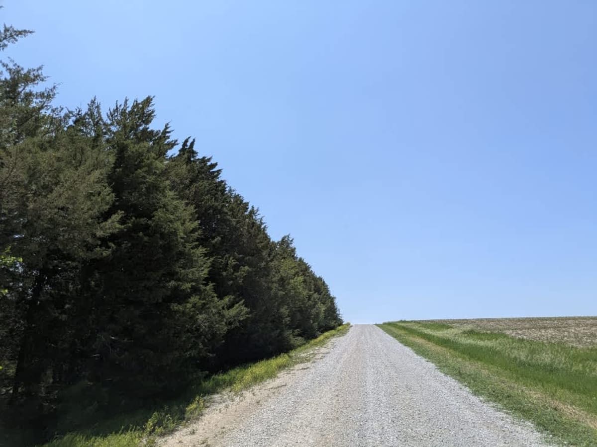 M Road photo 3