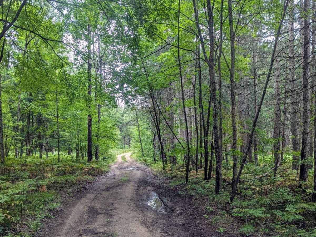 Huron NFS 3063 photo 5