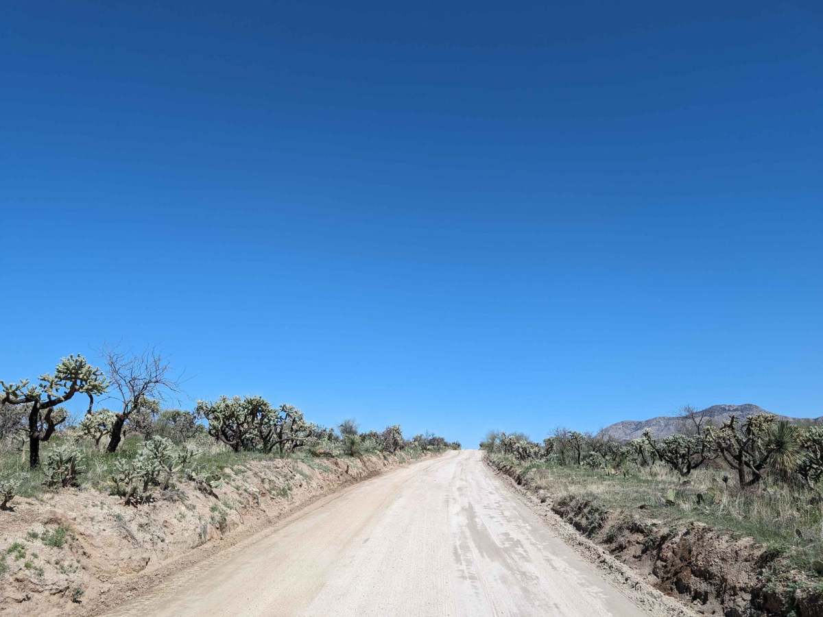 50 Year Trail Loop photo 6