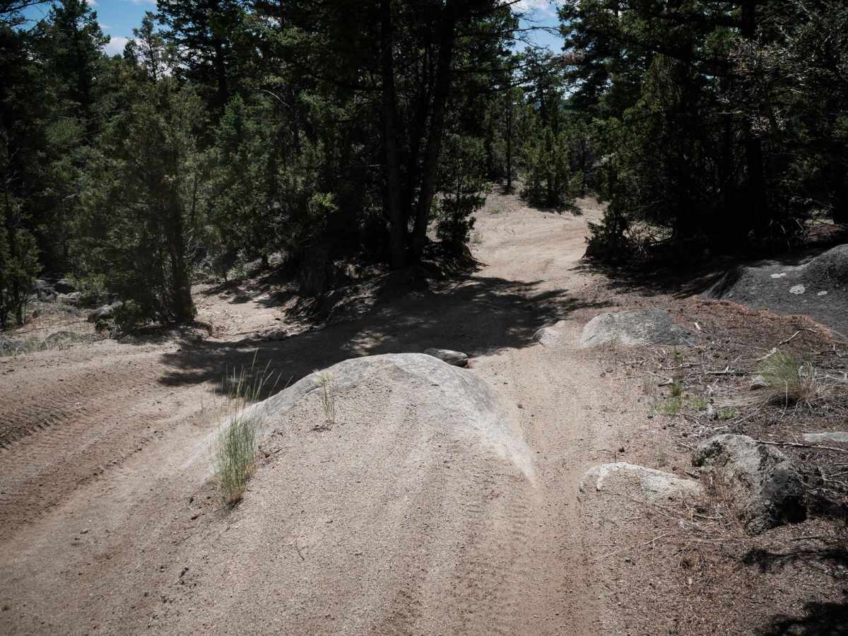 BLM 14 photo 2