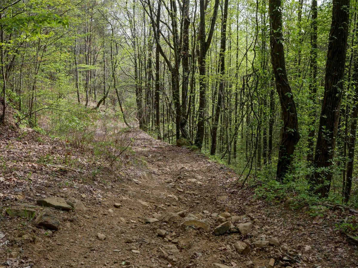 Tibbs ATV photo 5