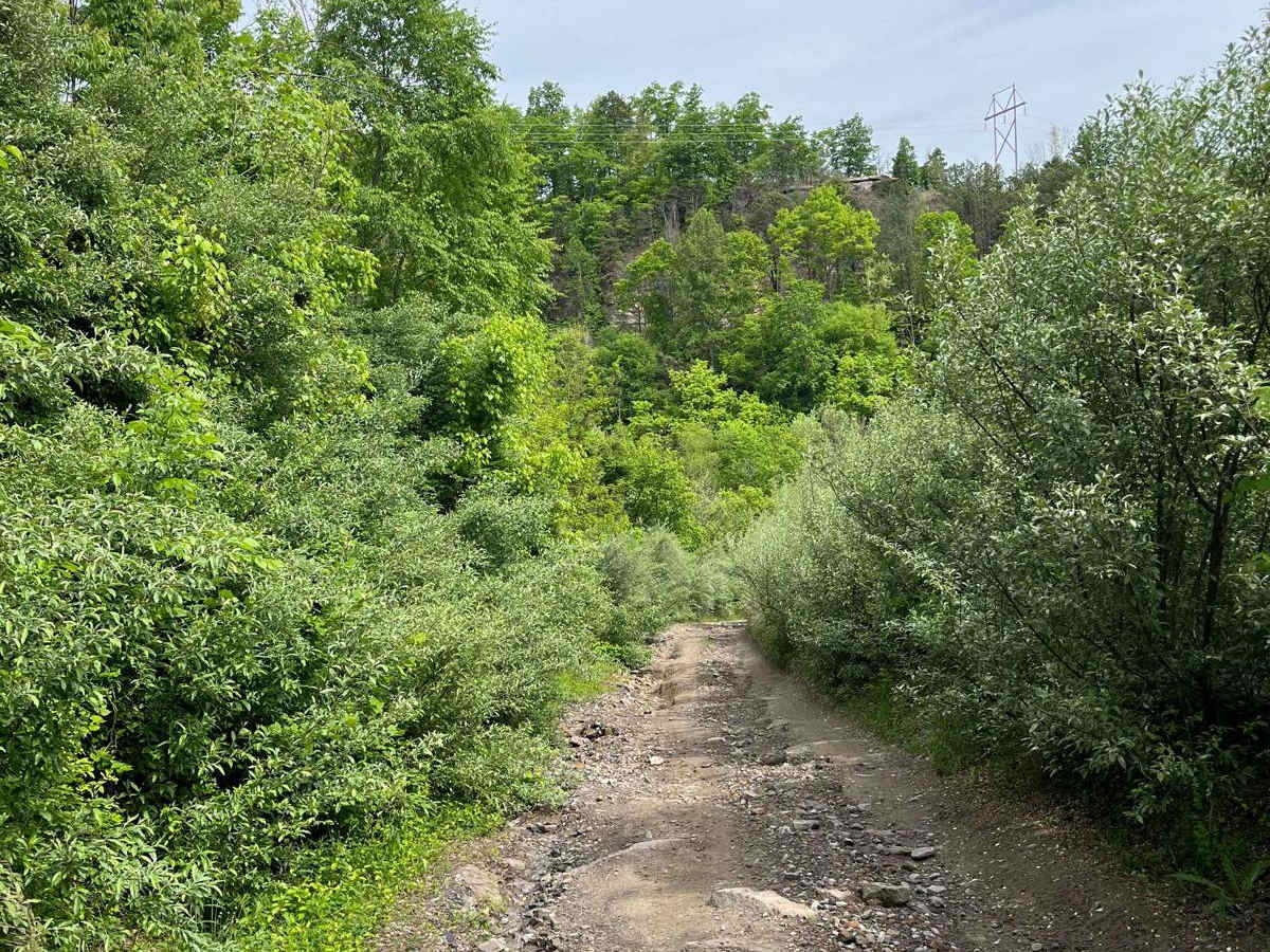 Trail 11 photo 5